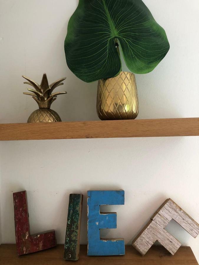 Studio Lief Bergen Binnen, Bij Bos Duin En Dorp Luaran gambar